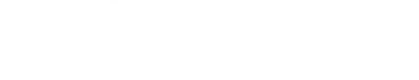 Logotipo Nissul Gala, cliente da Capta Marketing Digital